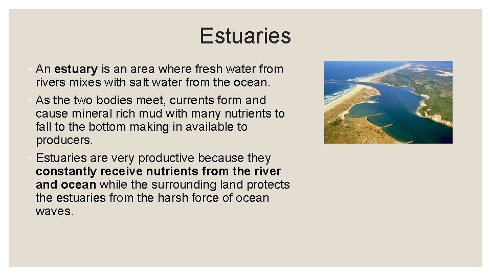 Estuaries ◦ An estuary is an area where fresh water from rivers mixes with