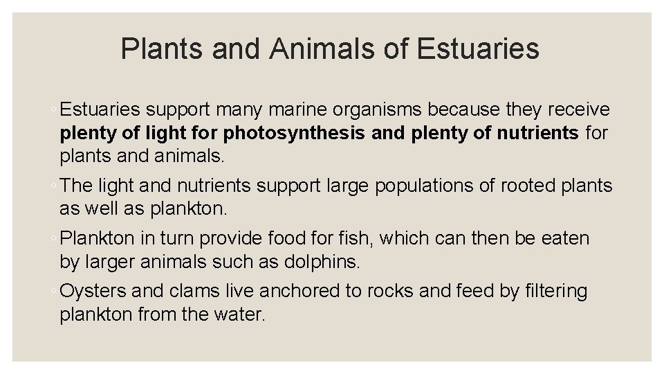 Plants and Animals of Estuaries ◦ Estuaries support many marine organisms because they receive