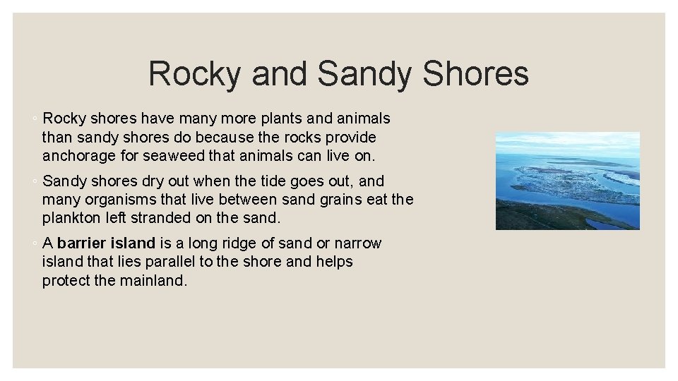 Rocky and Sandy Shores ◦ Rocky shores have many more plants and animals than