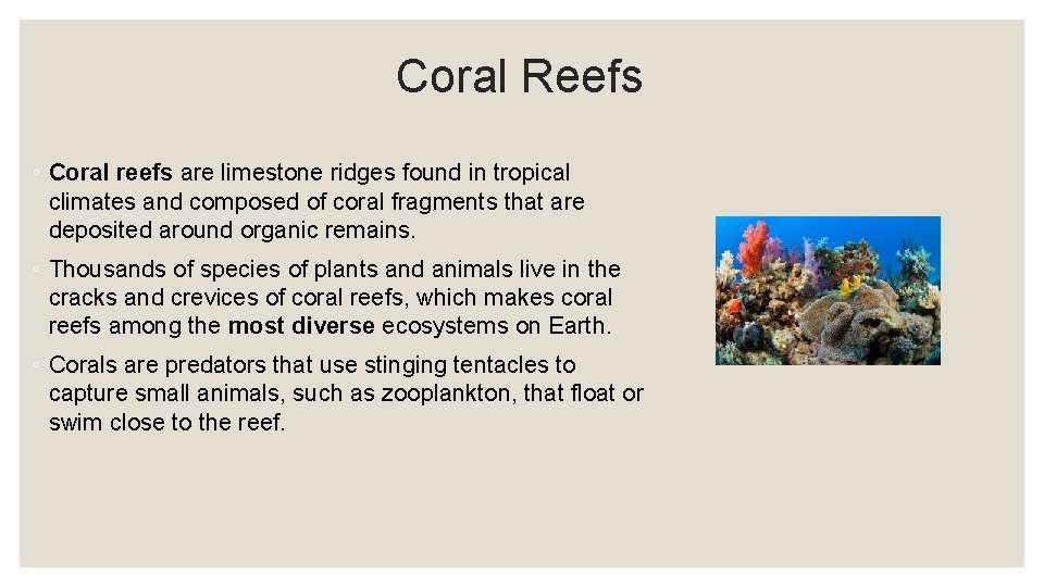 Coral Reefs ◦ Coral reefs are limestone ridges found in tropical climates and composed