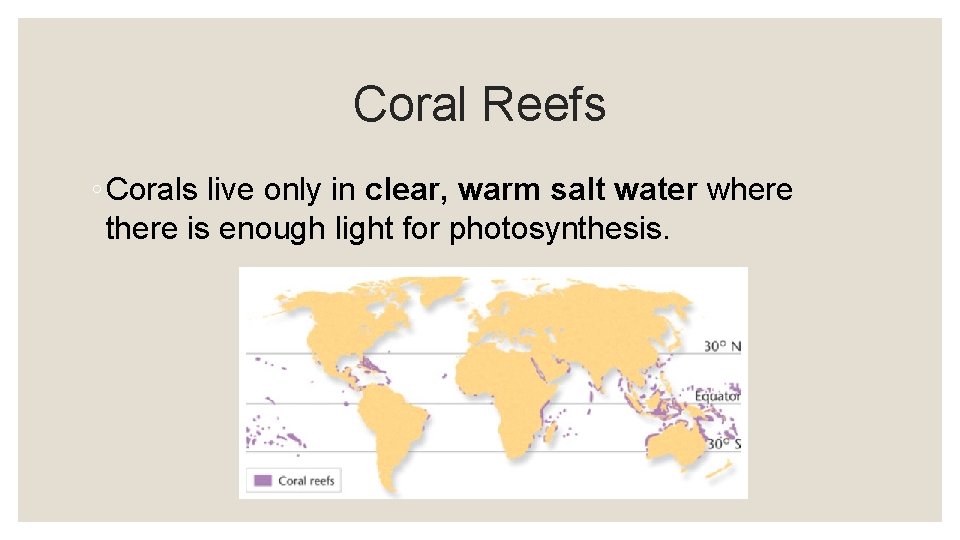 Coral Reefs ◦ Corals live only in clear, warm salt water where there is