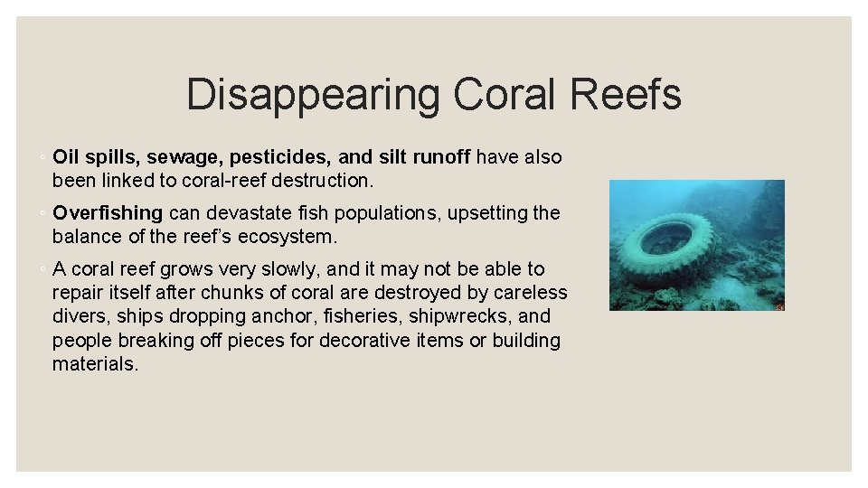 Disappearing Coral Reefs ◦ Oil spills, sewage, pesticides, and silt runoff have also been