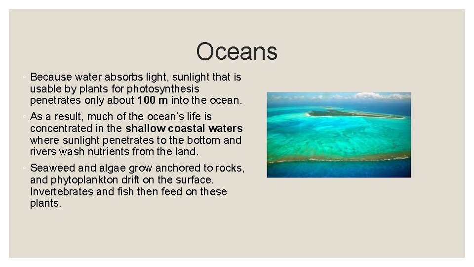 Oceans ◦ Because water absorbs light, sunlight that is usable by plants for photosynthesis