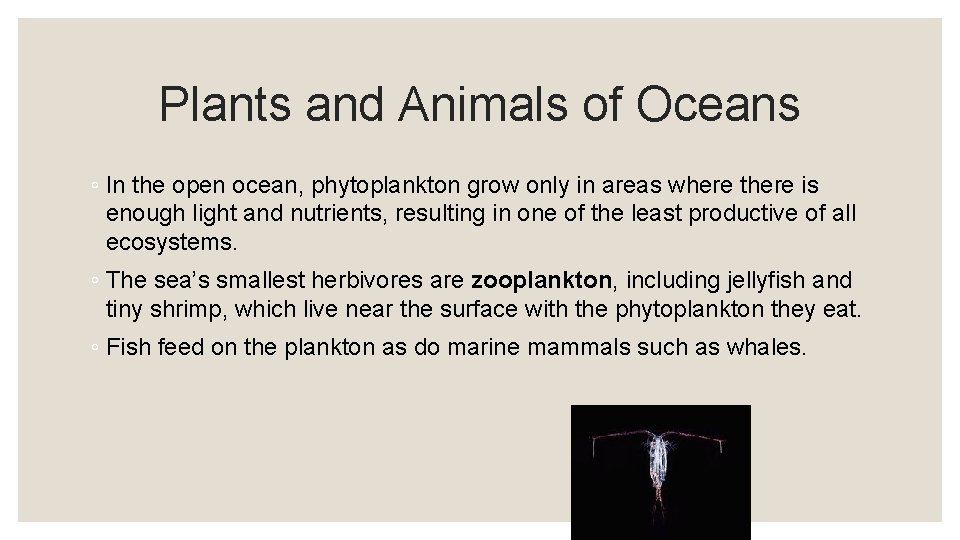 Plants and Animals of Oceans ◦ In the open ocean, phytoplankton grow only in