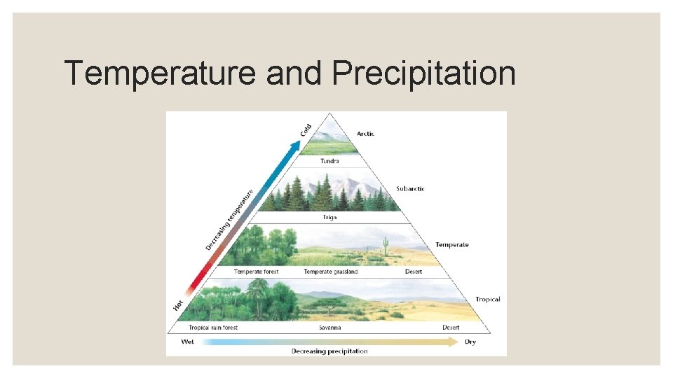 Temperature and Precipitation 