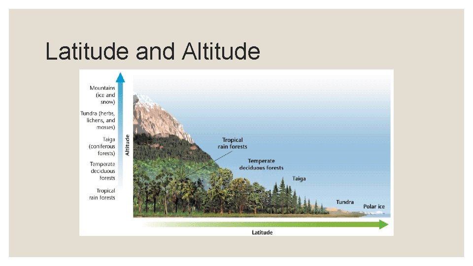 Latitude and Altitude 