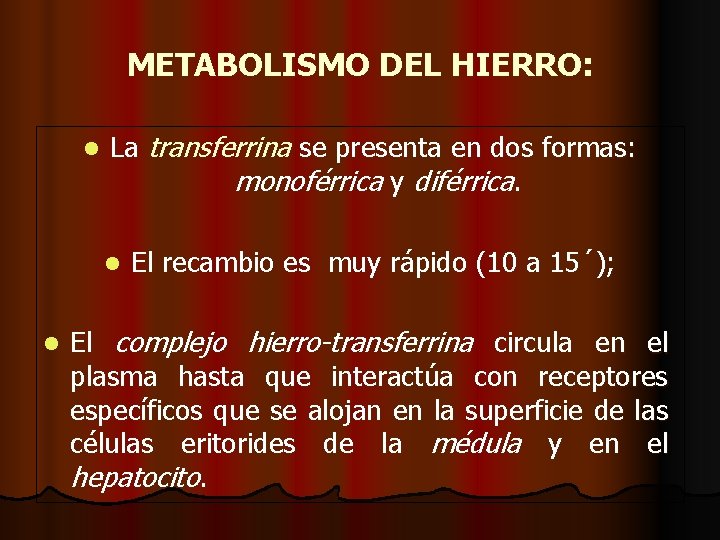 METABOLISMO DEL HIERRO: l La transferrina se presenta en dos formas: monoférrica y diférrica.