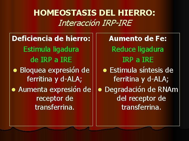 HOMEOSTASIS DEL HIERRO: Interacción IRP-IRE Deficiencia de hierro: Aumento de Fe: Estimula ligadura Reduce