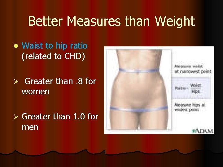Better Measures than Weight l Waist to hip ratio (related to CHD) Ø Greater
