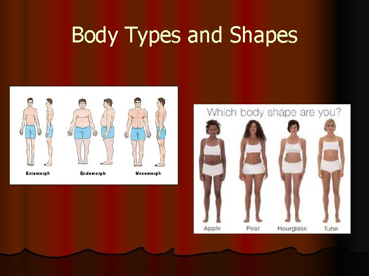 Body Types and Shapes 