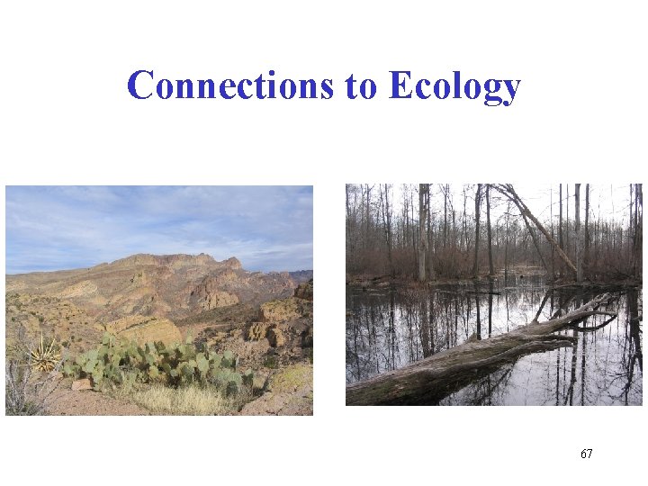 Connections to Ecology 67 