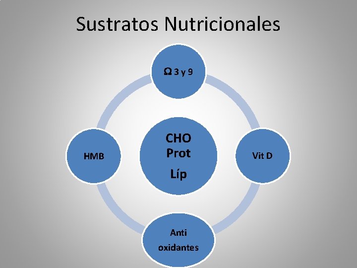 Sustratos Nutricionales 3 y 9 HMB CHO Prot Líp Anti oxidantes Vit D 