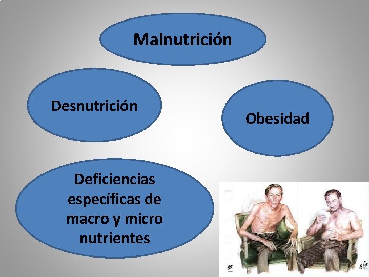 Malnutrición Desnutrición Deficiencias específicas de macro y micro nutrientes Obesidad 