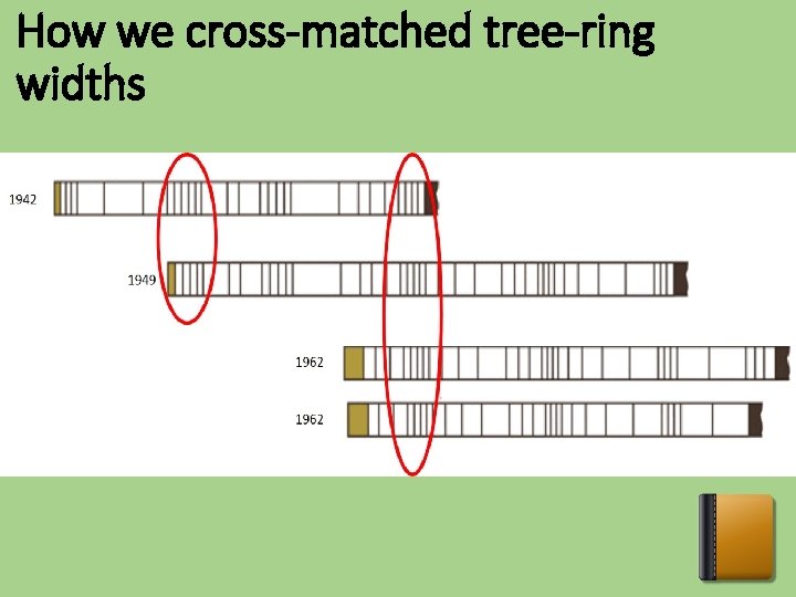 How we cross-matched tree-ring widths 