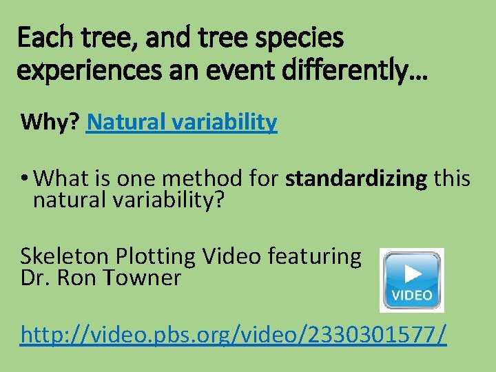 Each tree, and tree species experiences an event differently… Why? Natural variability • What