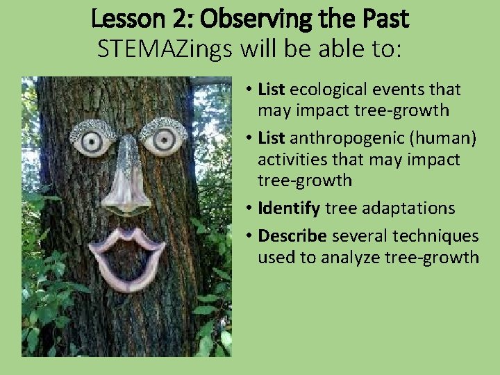 Lesson 2: Observing the Past STEMAZings will be able to: • List ecological events