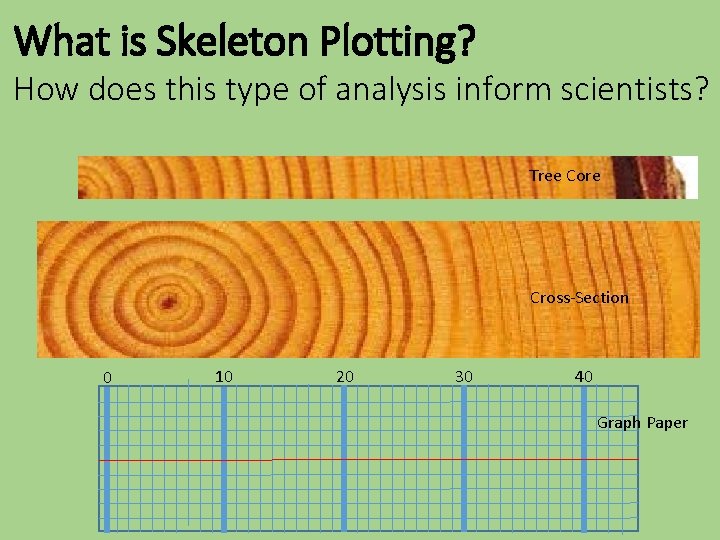 What is Skeleton Plotting? How does this type of analysis inform scientists? Tree Core
