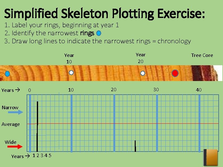 Simplified Skeleton Plotting Exercise: 1. Label your rings, beginning at year 1 2. Identify