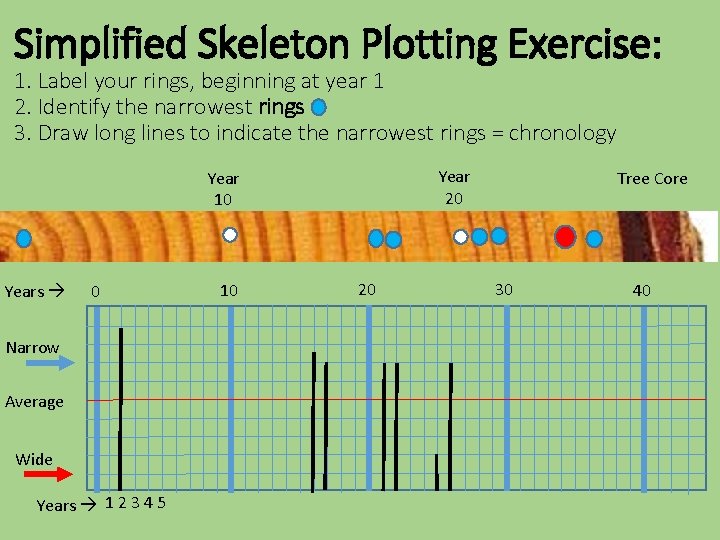 Simplified Skeleton Plotting Exercise: 1. Label your rings, beginning at year 1 2. Identify