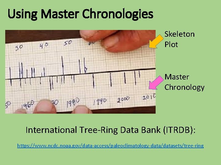 Using Master Chronologies Skeleton Plot Master Chronology International Tree-Ring Data Bank (ITRDB): https: //www.