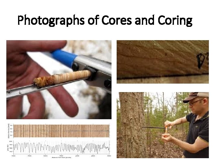 Photographs of Cores and Coring 