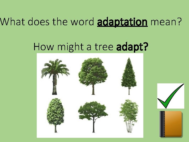 What does the word adaptation mean? How might a tree adapt? 