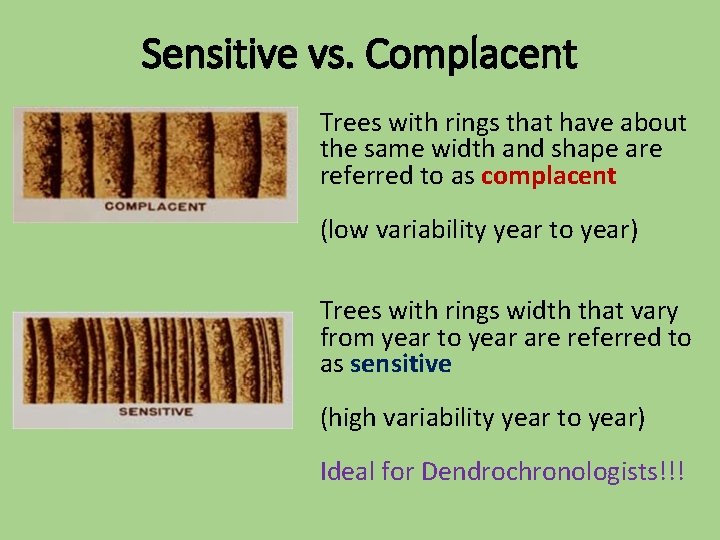 Sensitive vs. Complacent Trees with rings that have about the same width and shape