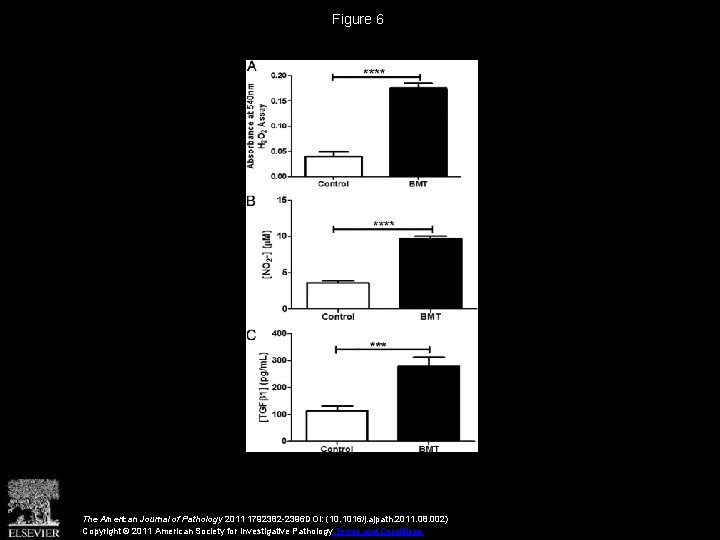 Figure 6 The American Journal of Pathology 2011 1792382 -2396 DOI: (10. 1016/j. ajpath.