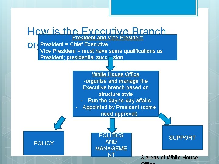 How is the Executive Branch President and Vice President = Chief Executive organized? Vice