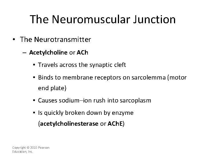 The Neuromuscular Junction • The Neurotransmitter – Acetylcholine or ACh • Travels across the