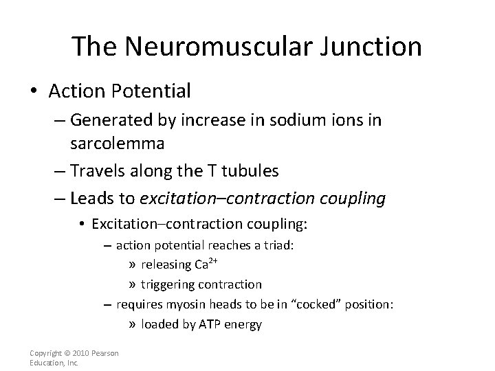 The Neuromuscular Junction • Action Potential – Generated by increase in sodium ions in