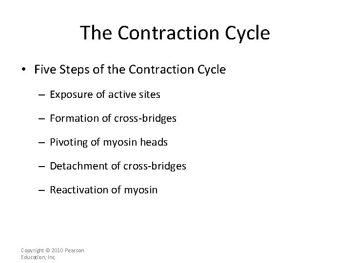 The Contraction Cycle • Five Steps of the Contraction Cycle – Exposure of active