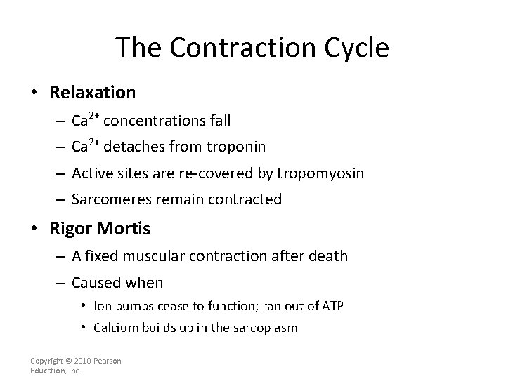 The Contraction Cycle • Relaxation – Ca 2+ concentrations fall – Ca 2+ detaches