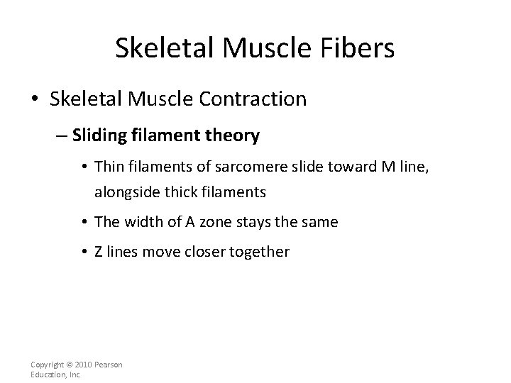 Skeletal Muscle Fibers • Skeletal Muscle Contraction – Sliding filament theory • Thin filaments