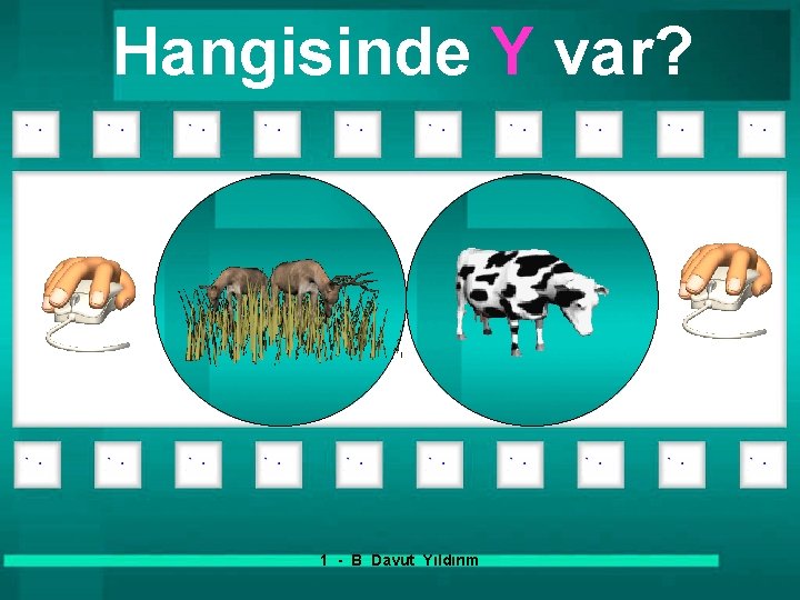 Hangisinde Y var? 1 - B Davut Yıldırım 
