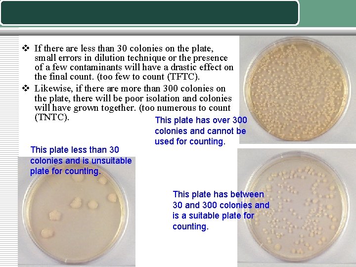 v If there are less than 30 colonies on the plate, small errors in