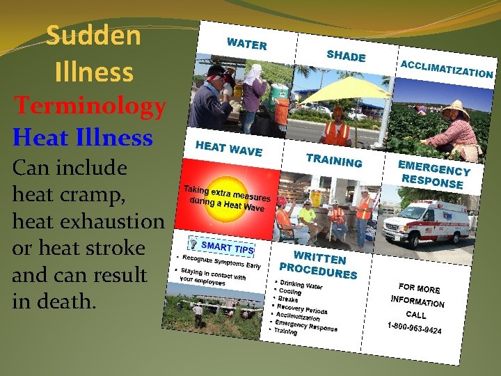 Sudden Illness Terminology Heat Illness Can include heat cramp, heat exhaustion or heat stroke