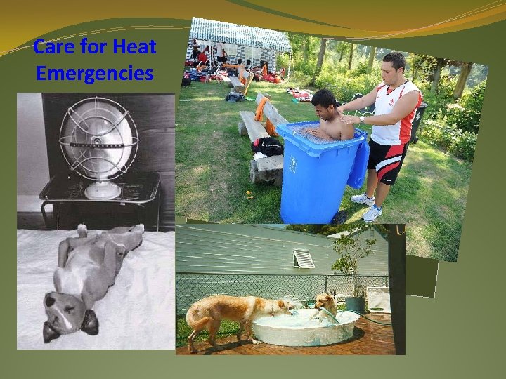 Care for Heat Emergencies 