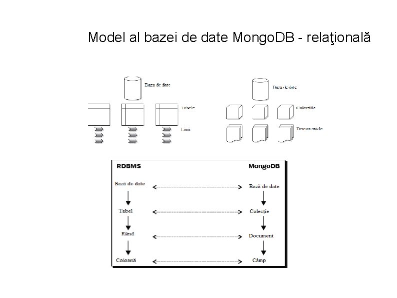 Model al bazei de date Mongo. DB - relaţională 