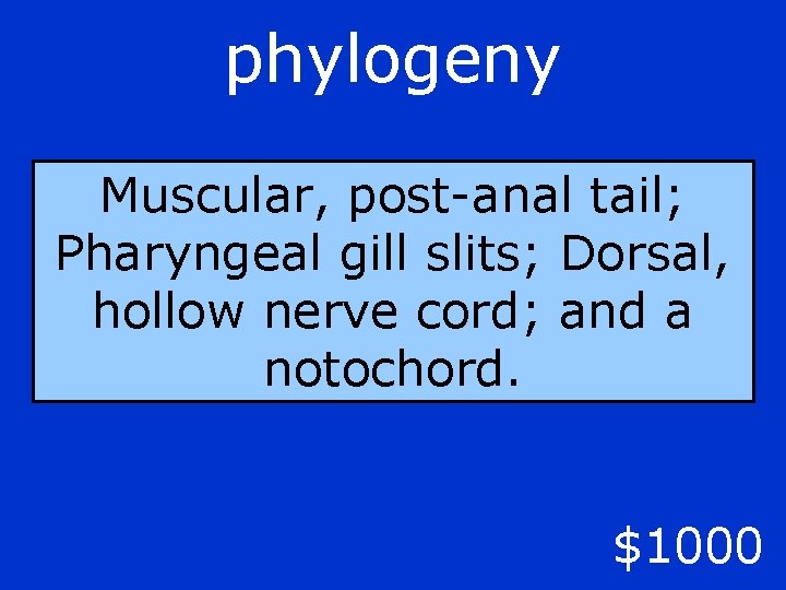 phylogeny Muscular, post-anal tail; Pharyngeal gill slits; Dorsal, hollow nerve cord; and a notochord.