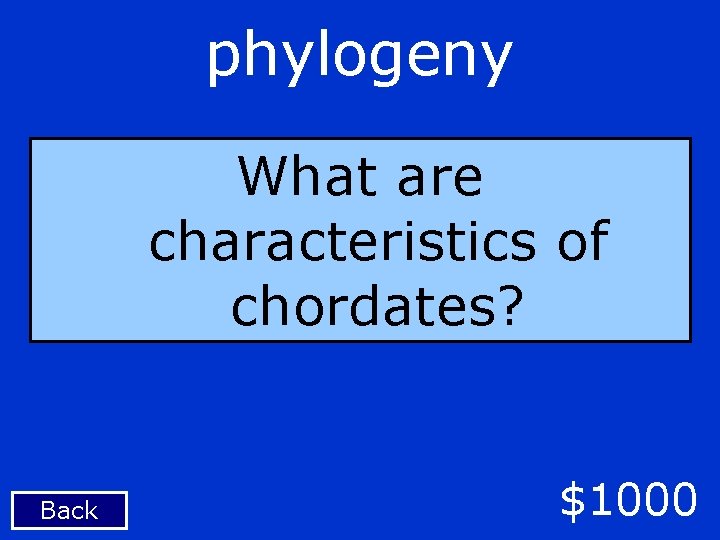 phylogeny What are characteristics of chordates? Back $1000 