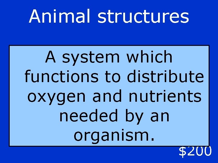 Animal structures A system which functions to distribute oxygen and nutrients needed by an