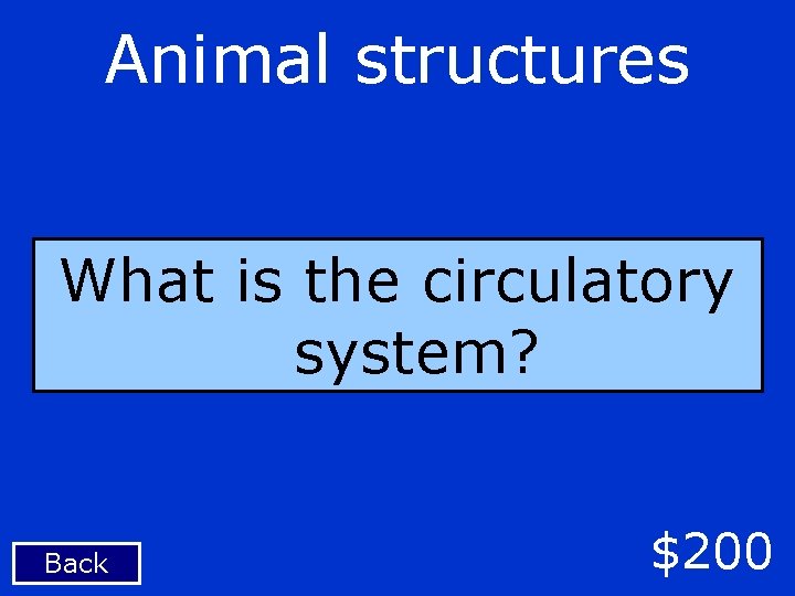 Animal structures What is the circulatory system? Back $200 