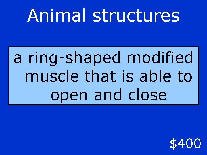 Animal structures a ring-shaped modified muscle that is able to open and close $400