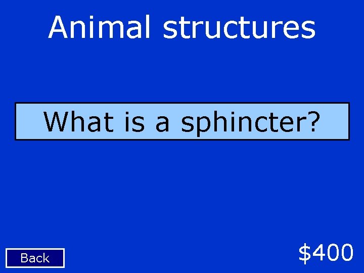 Animal structures What is a sphincter? Back $400 