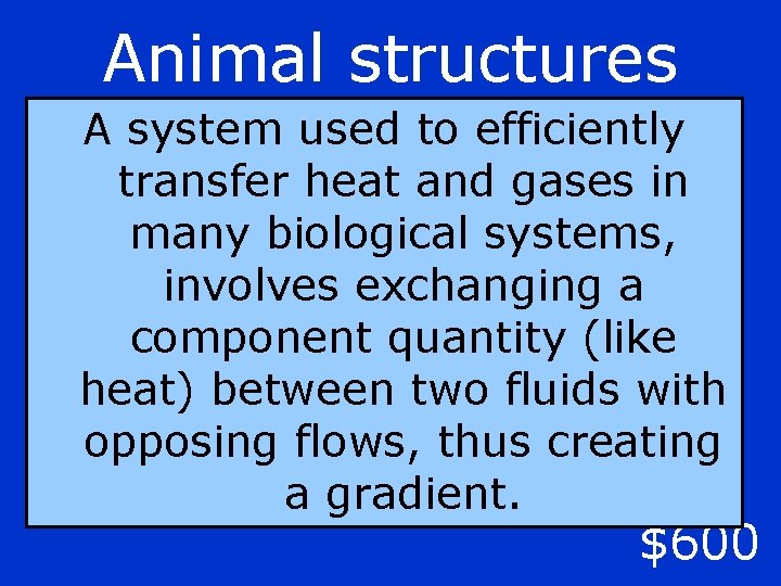 Animal structures A system used to efficiently transfer heat and gases in many biological