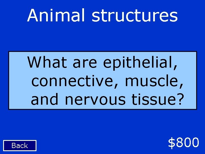 Animal structures What are epithelial, connective, muscle, and nervous tissue? Back $800 