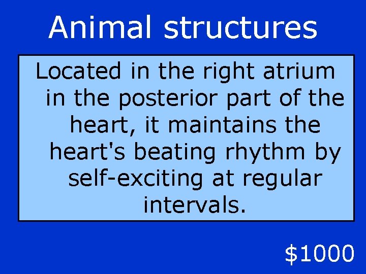 Animal structures Located in the right atrium in the posterior part of the heart,