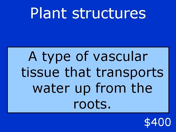 Plant structures A type of vascular tissue that transports water up from the roots.