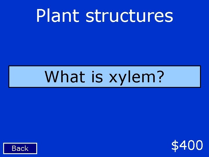 Plant structures What is xylem? Back $400 